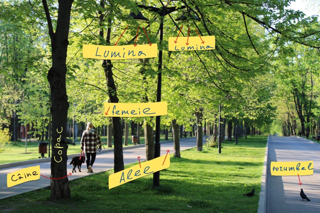 Alexandru învăță limba română în parc